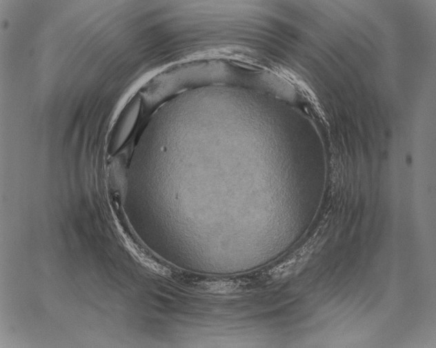 X0000066520792200604071551