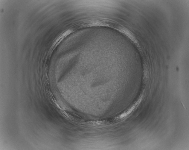 X0000066520793200604071551