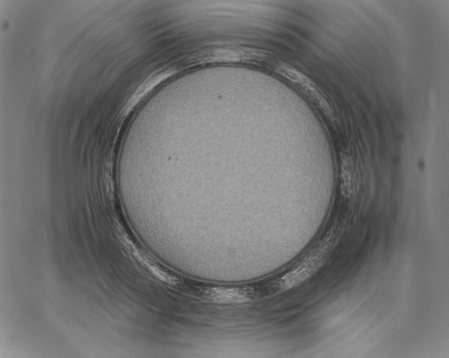 X0000066520794200604071551