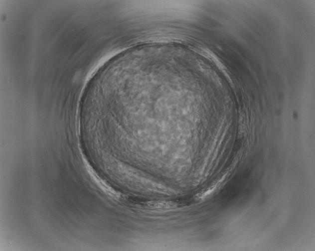 X0000066520795200604071551