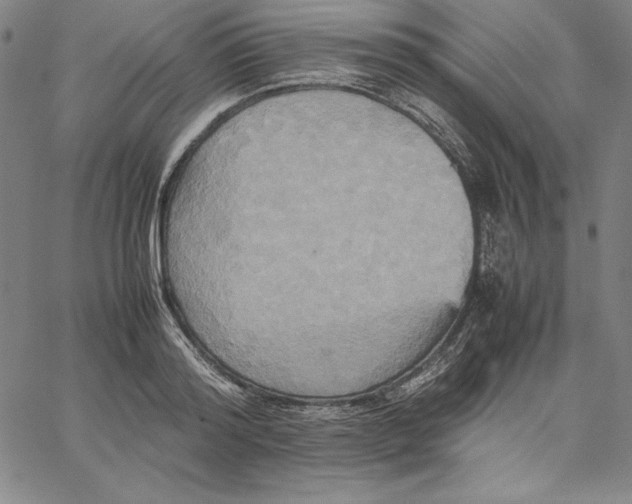 X0000066520796200604071550