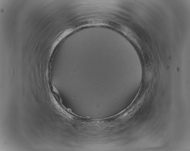 X0000066520797200604071550