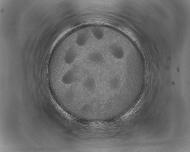 X0000066520799200604071550