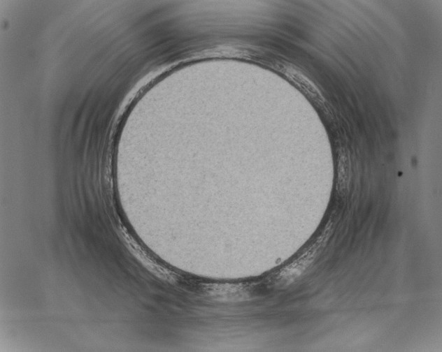 X0000066520800200604071550