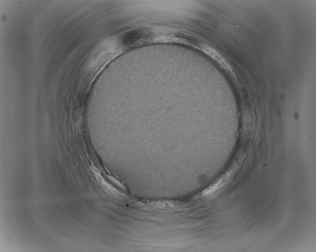 X0000066520801200604071550