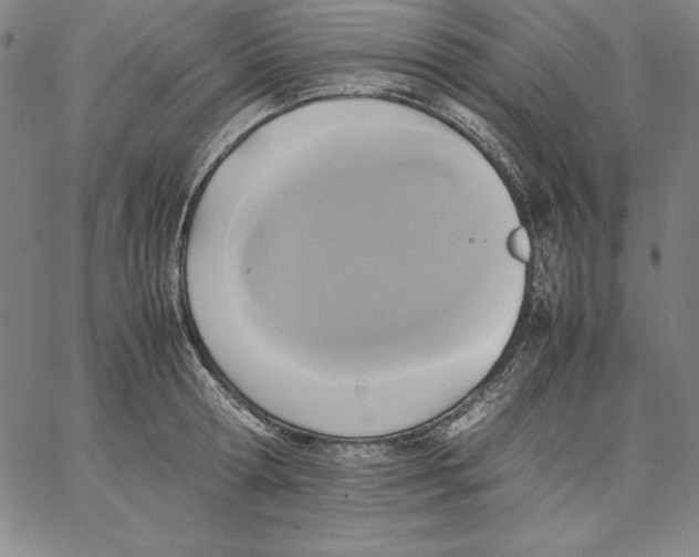 X0000066520802200604071550