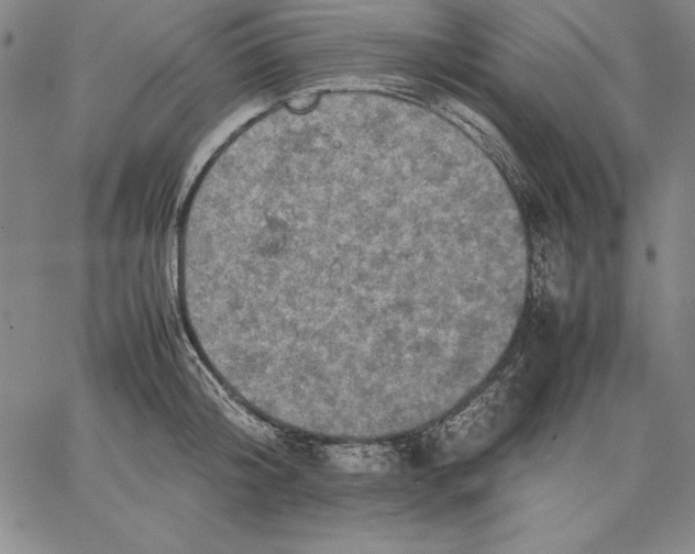 X0000066520804200604071550