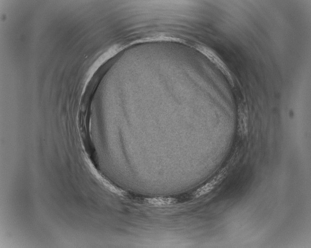 X0000066520805200604071550