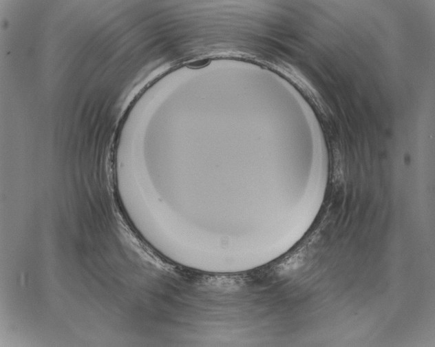 X0000066520806200604071550