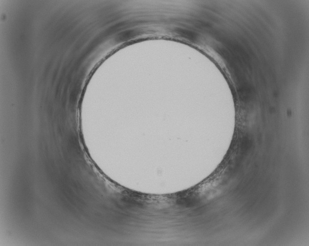 X0000066520807200604071550