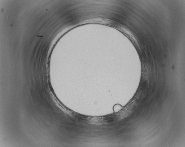 X0000066520808200604071550