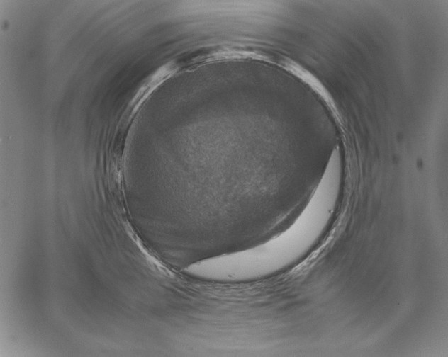 X0000066520809200604071550