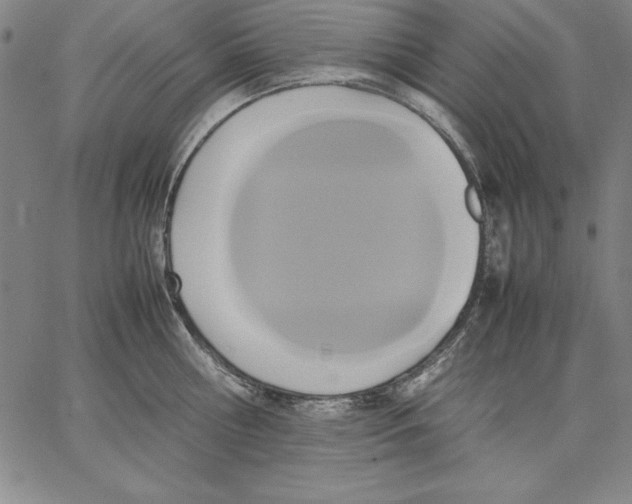 X0000066520810200604071550