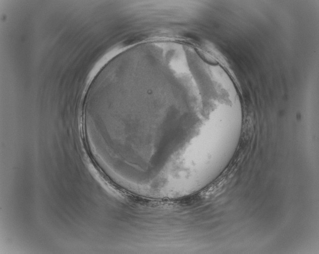 X0000066520811200604071550