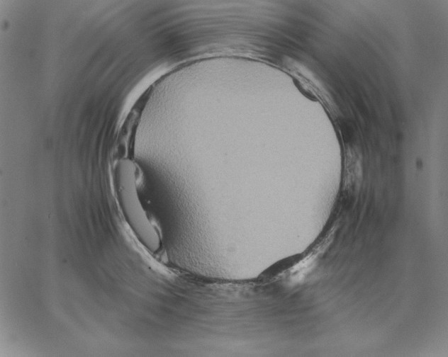 X0000066520812200604071550