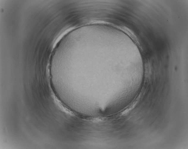 X0000066520814200604071550