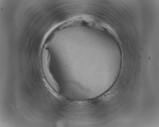 X0000066520816200604071550