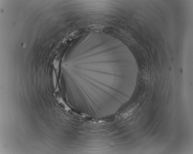 X0000066520818200604071549