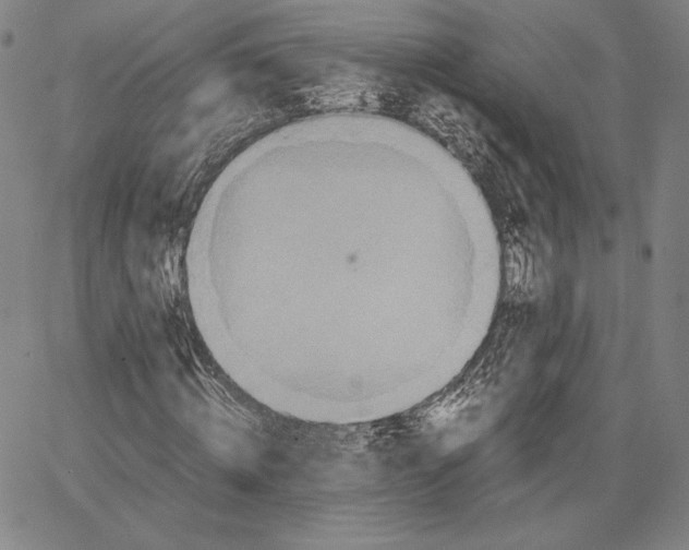 X0000066520820200604071549