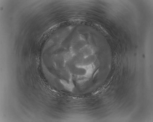 X0000066520821200604071549