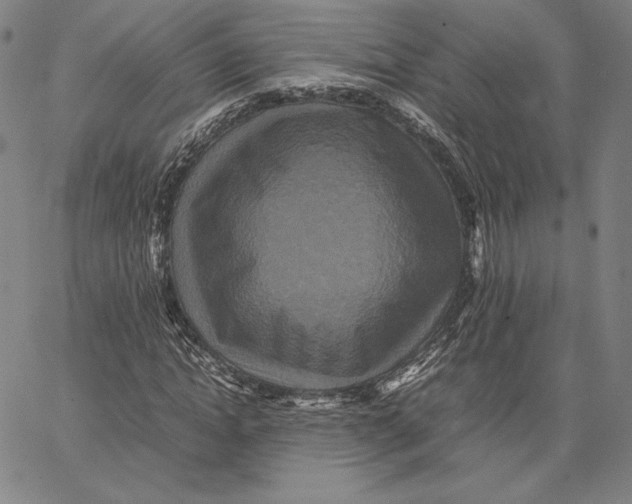 X0000066520822200604071549