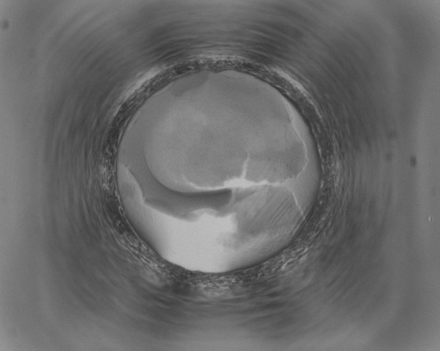 X0000066520823200604071549