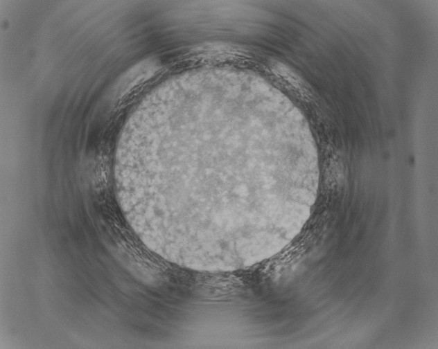 X0000066520824200604071550