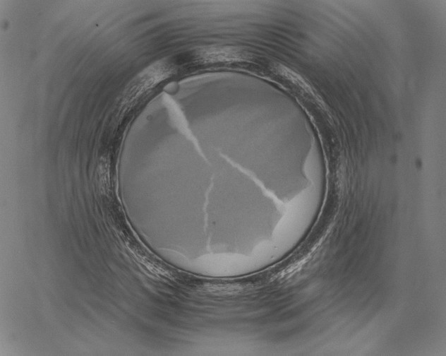 X0000066520825200604071550