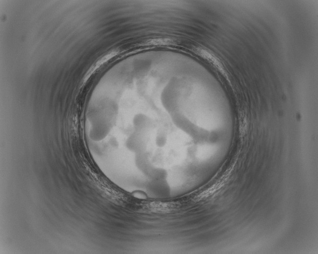 X0000066520827200604071550