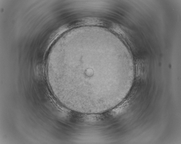 X0000066520828200604071550