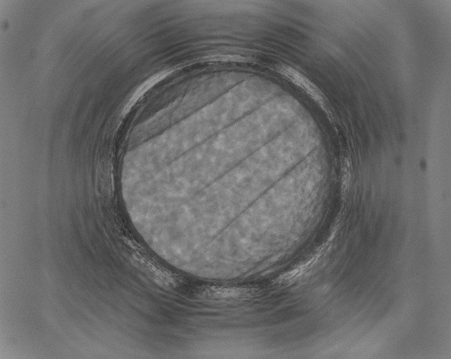 X0000066520829200604071550