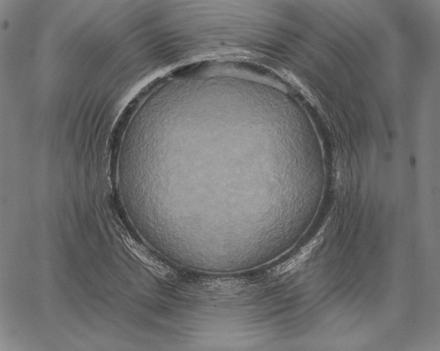 X0000066520830200604071550