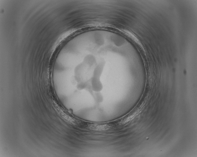 X0000066520831200604071550