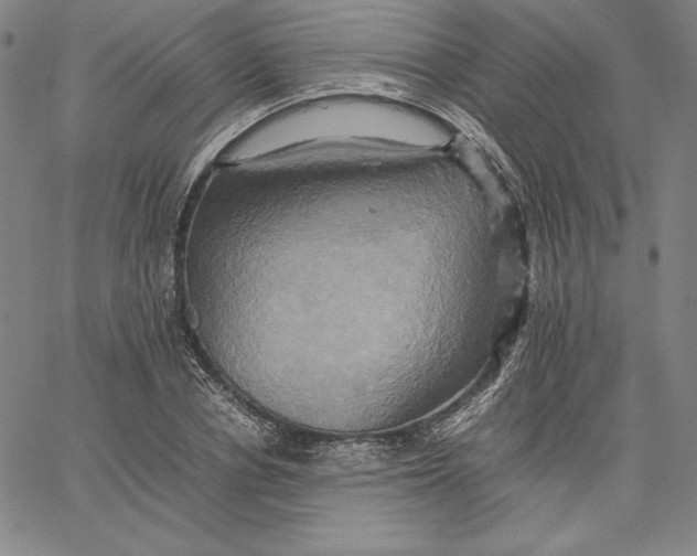 X0000066520834200604071550