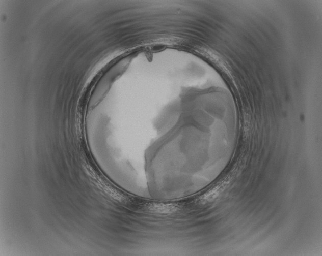 X0000066520835200604071550