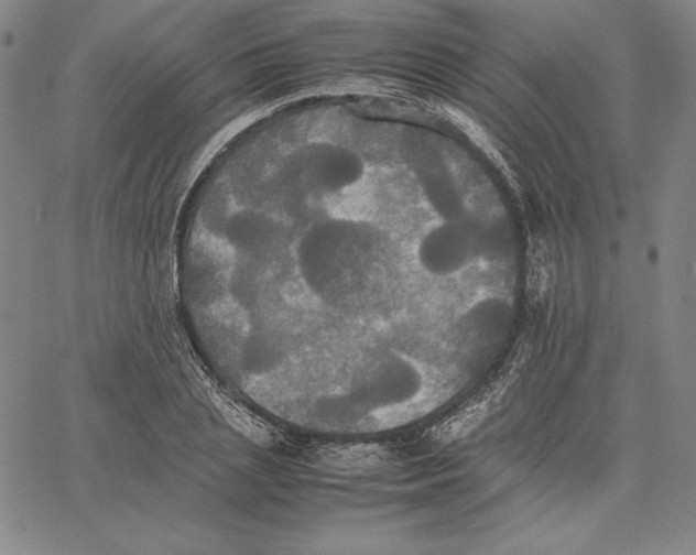 X0000066520837200604071550