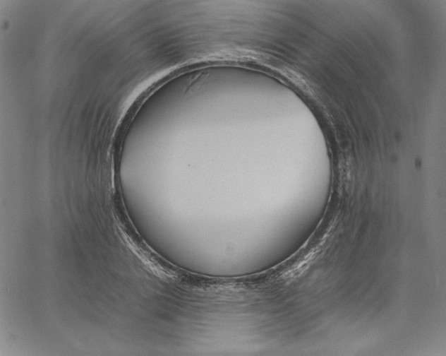 X0000066520838200604071550