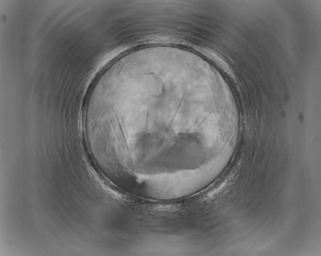 X0000066520839200604071550