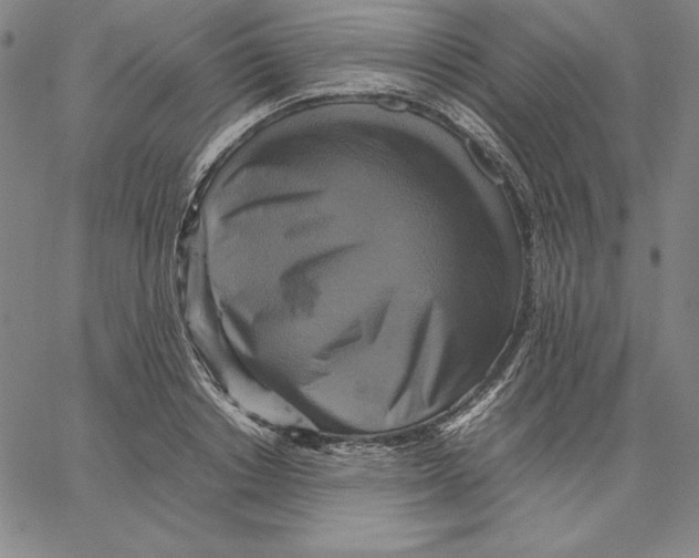 X0000066520842200604071550