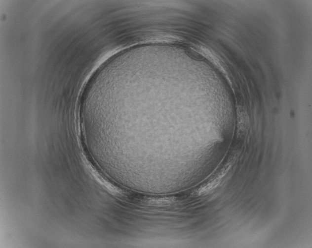 X0000066520843200604071550