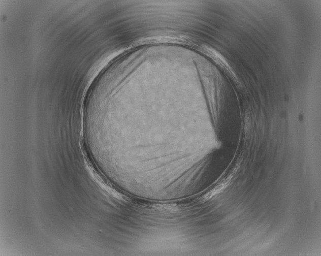 X0000066520844200604071550