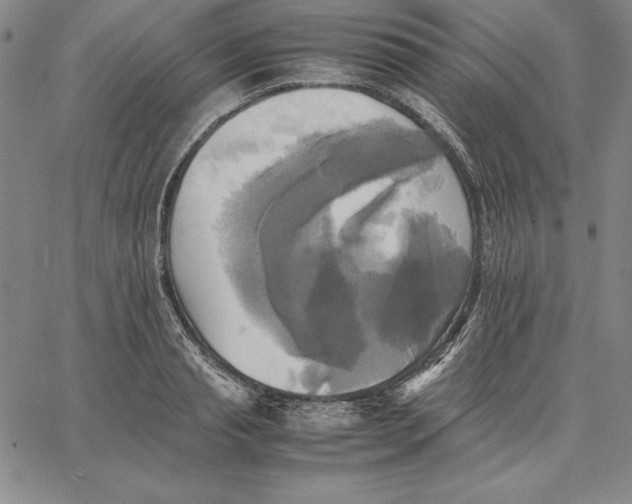 X0000066520845200604071550