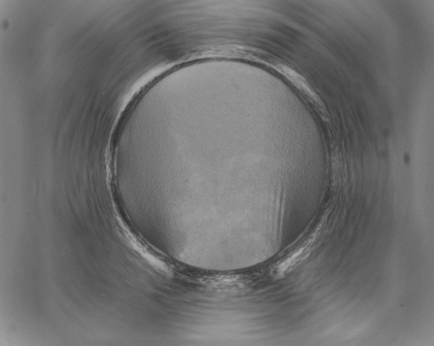 X0000066520846200604071550