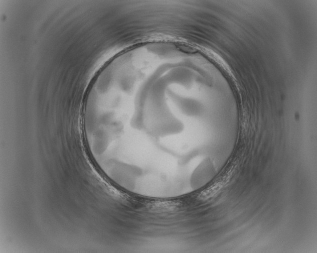 X0000066520847200604071550