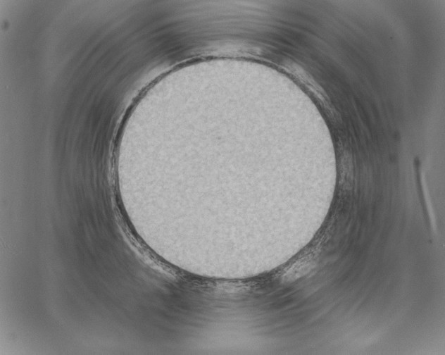 X0000066520848200604071550