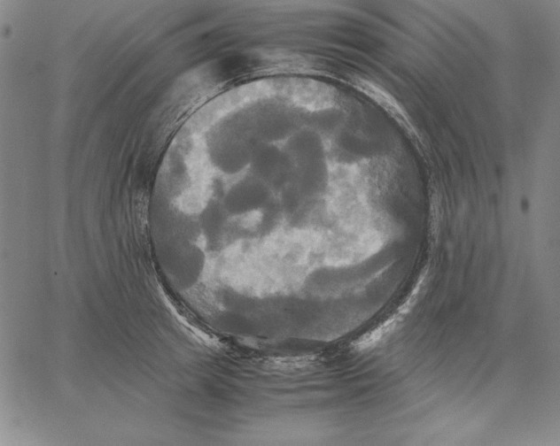 X0000066520849200604071550