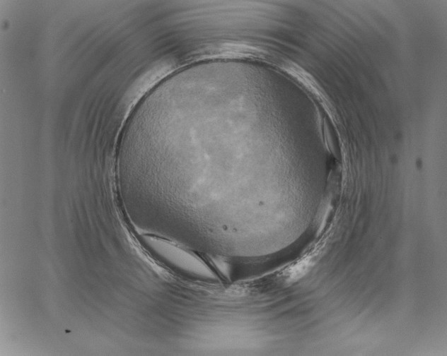 X0000066520850200604071550