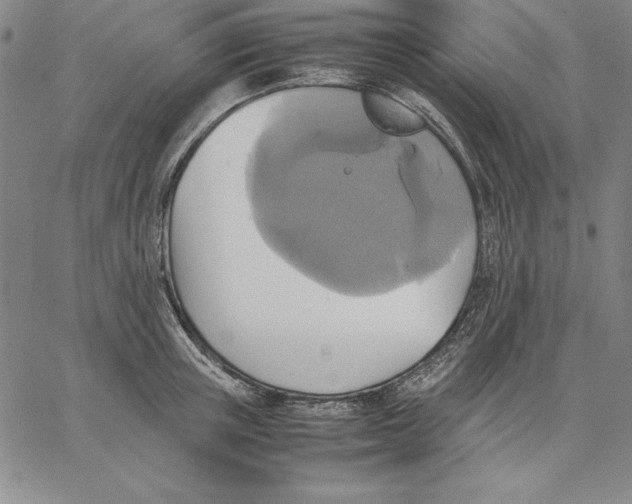 X0000066520851200604071550