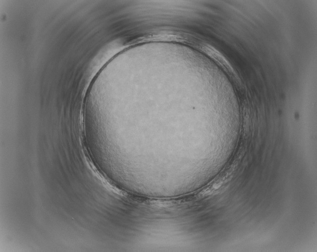 X0000066520852200604071550