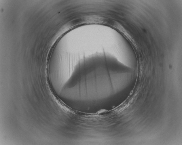 X0000066520853200604071550